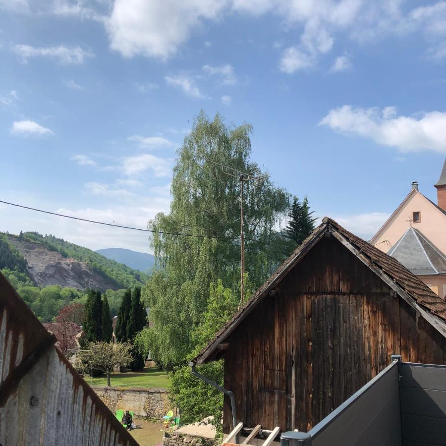 L Atypik A L Ancienne Forge Apartment Muhlbach-sur-Munster Exterior foto